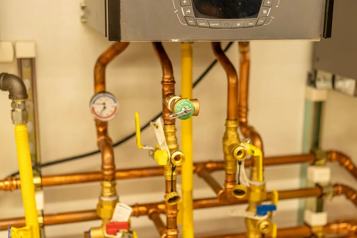 Licensed technician providing Emergency Plumbing for a homeowner in Unadilla